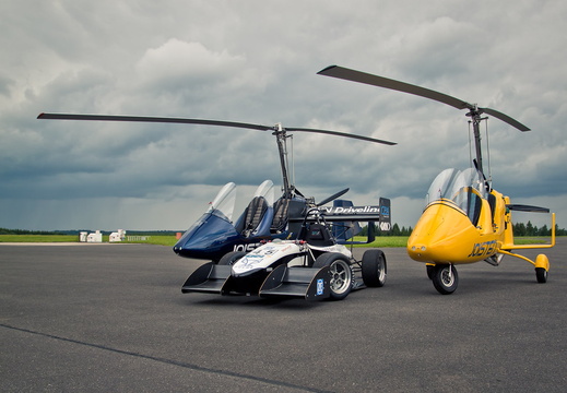 dahlem-juni 9163651375 l