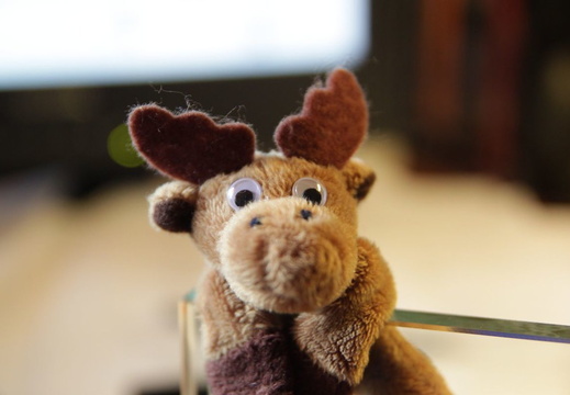 miley-is-excited-for-bo 9457439978 l